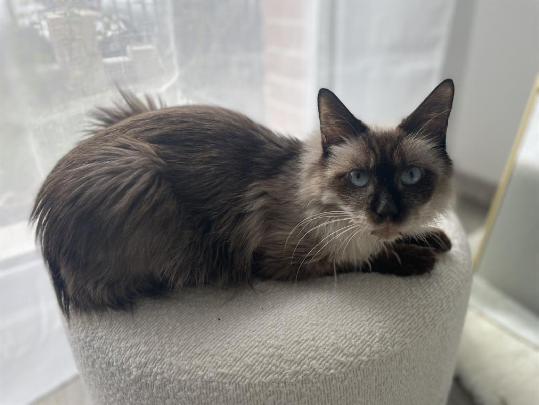 Photo #2 de Lucienne