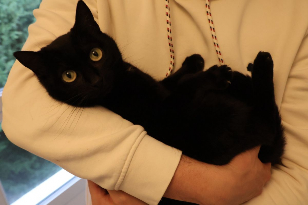 Photo #1 de Juliette