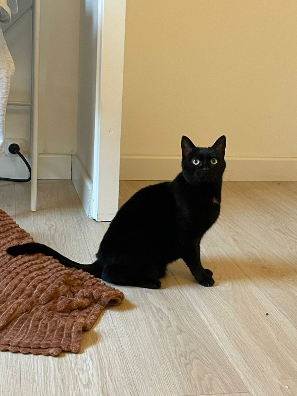 Photo #2 de Juliette