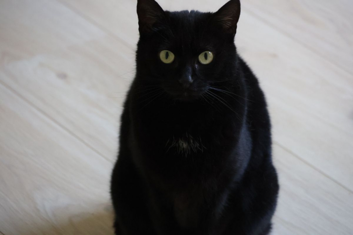 Photo #3 de Juliette