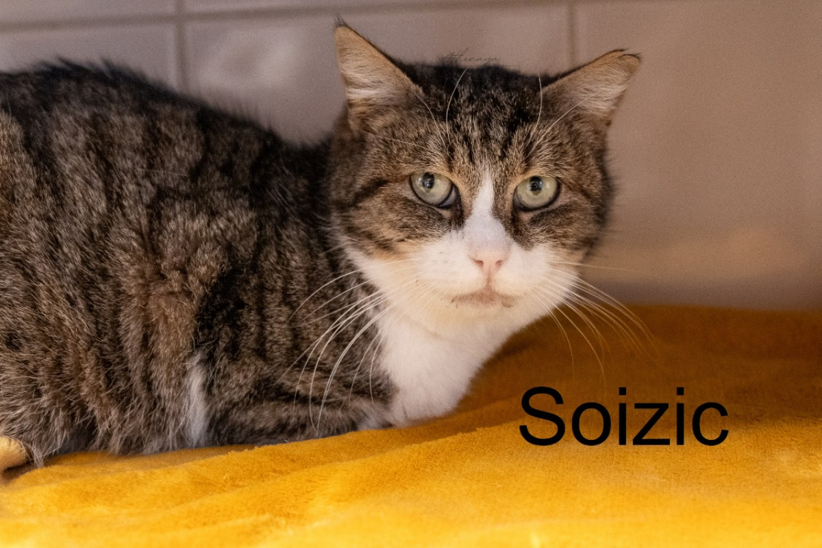 Photo #4 de Soizic