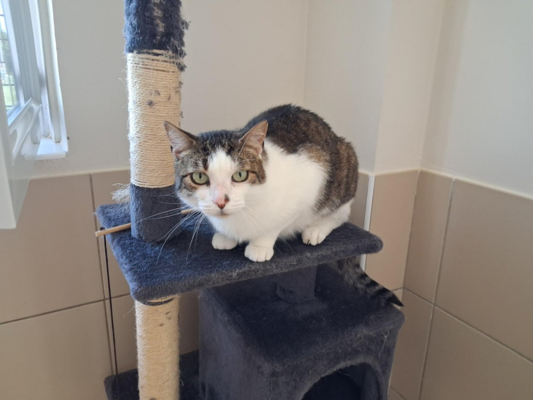 Photo de Neo