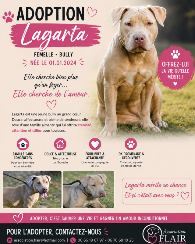 Photo #2 de Lagarta 