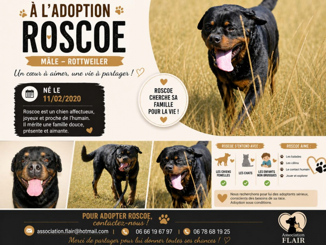 Photo #1 de Roscoe