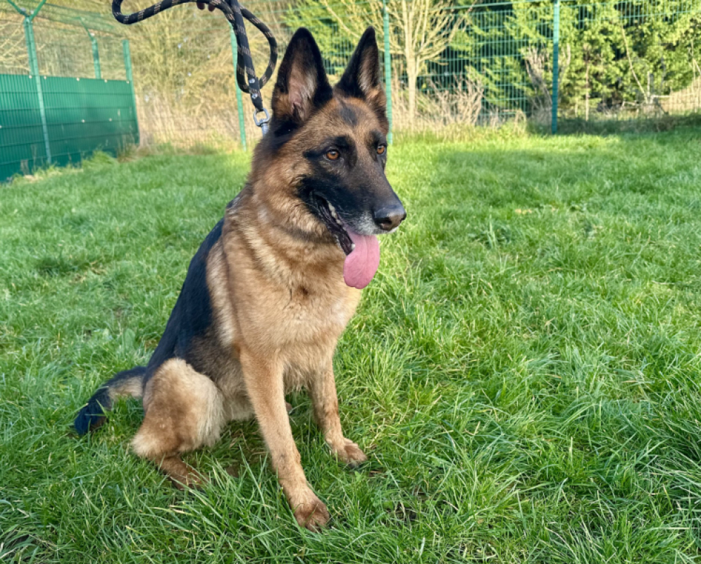 Photo #1 de Pagaille