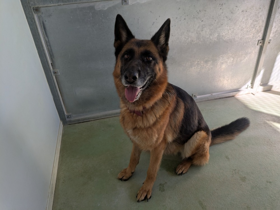 Photo #4 de Pagaille