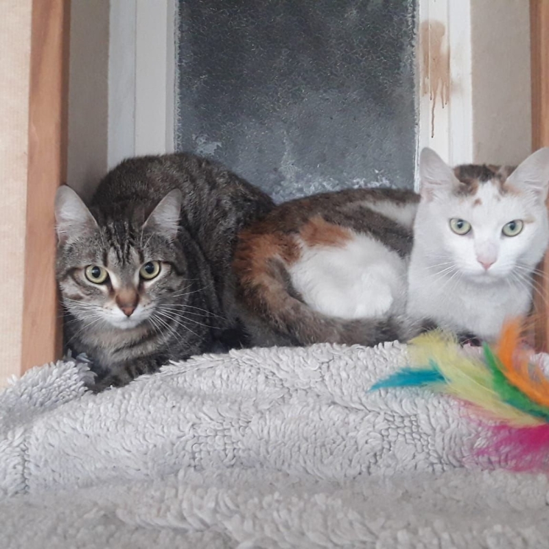 Photo de Krema et Lutti