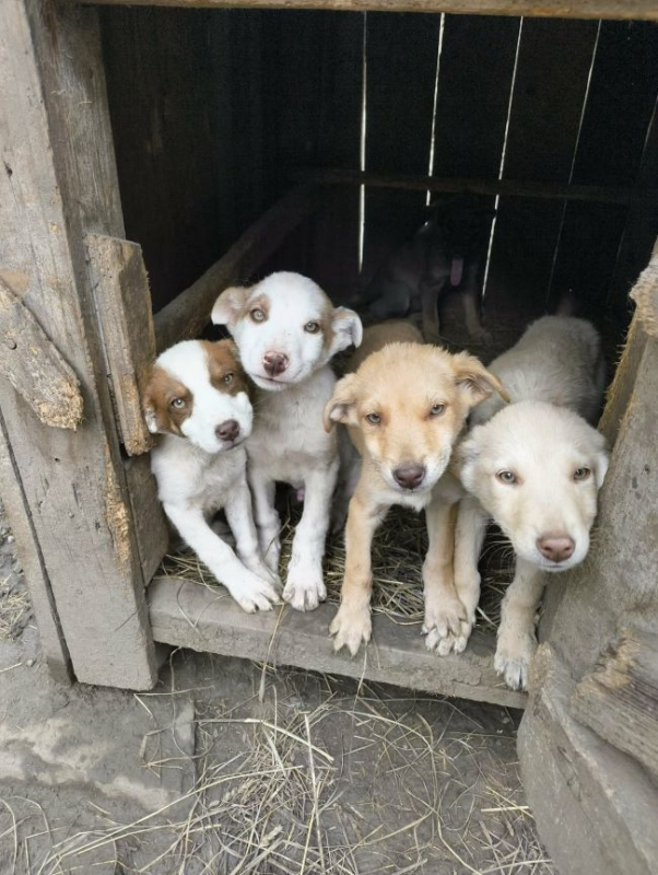 Photo #1 de SoBeauty