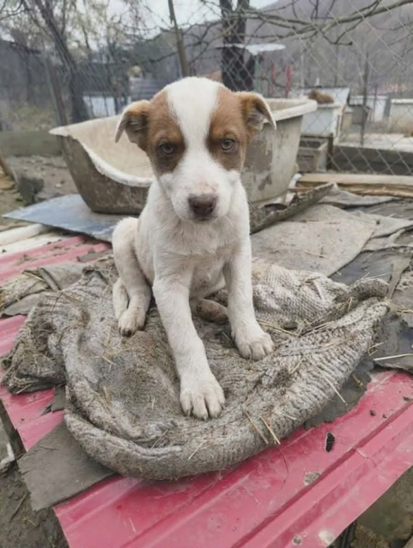 Photo #2 de SoBeauty