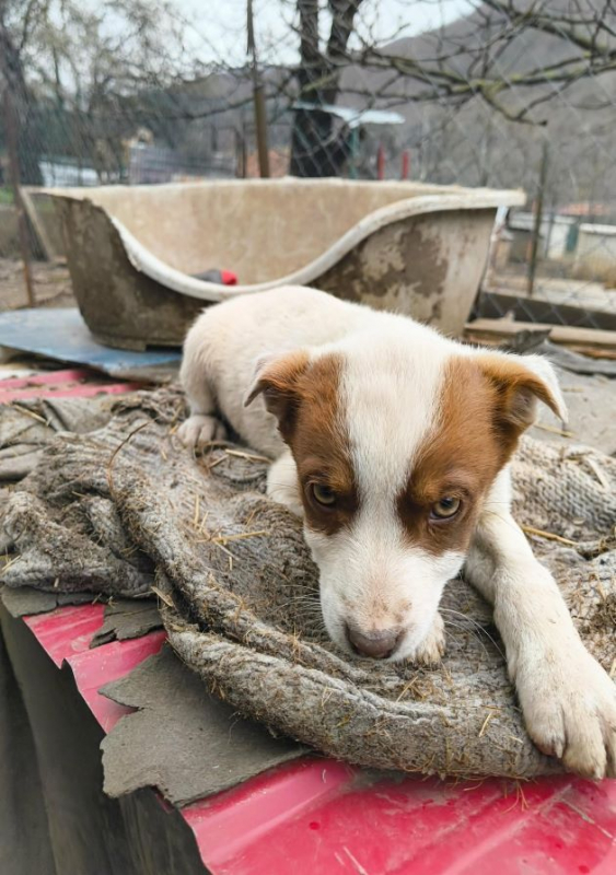 Photo #3 de SoBeauty