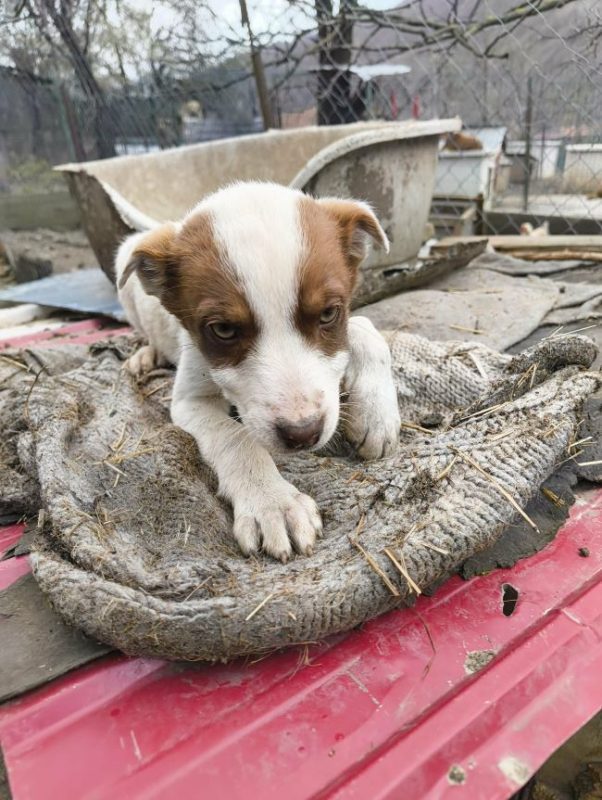 Photo #4 de SoBeauty