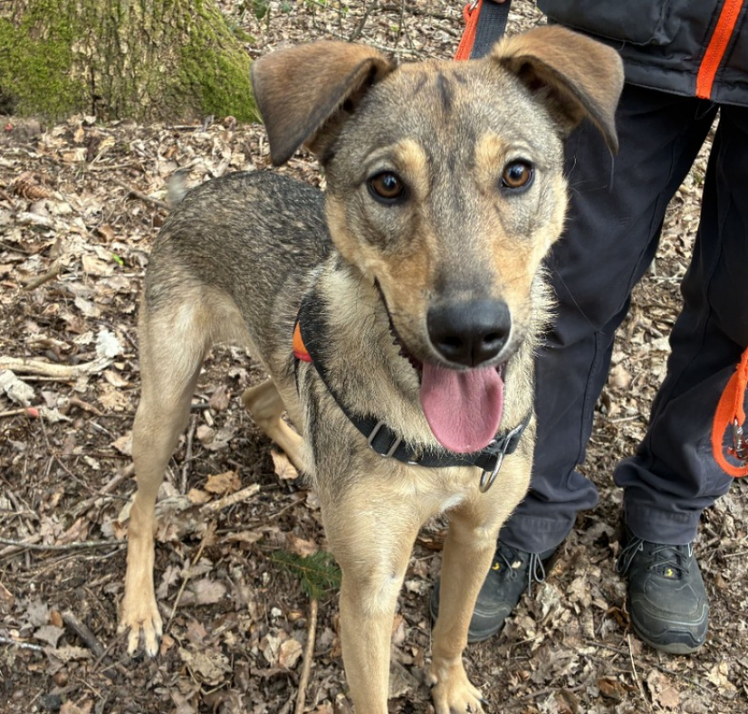 Photo de Plouf dit ninja