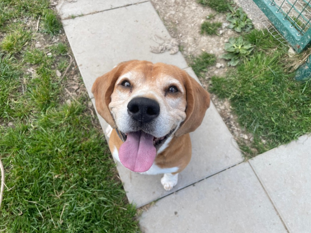 Photo #1 de Paco - reserve