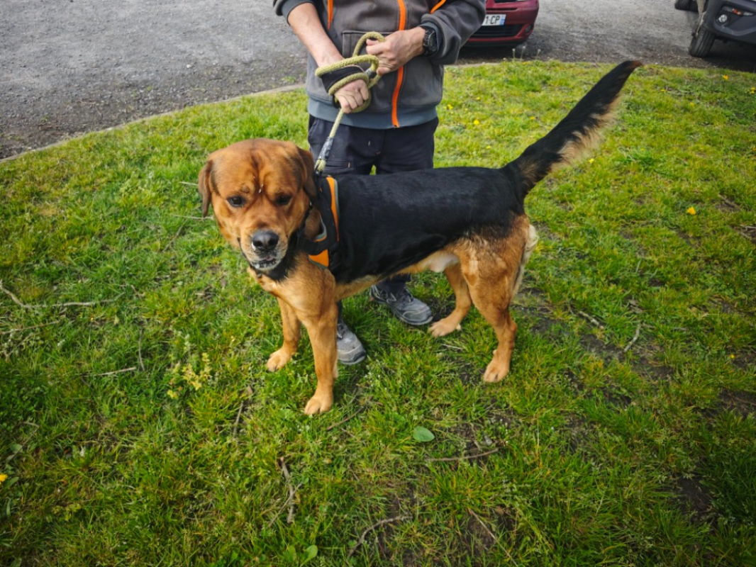 Photo #1 de Badaboum