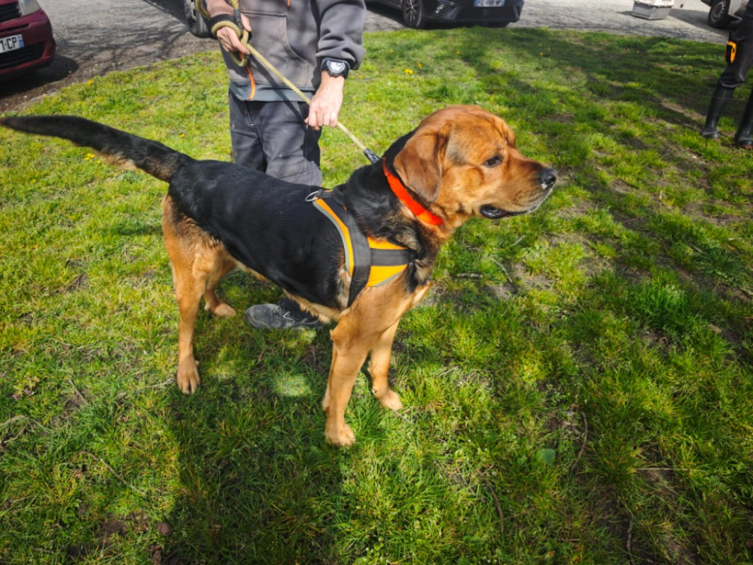 Photo #2 de Badaboum