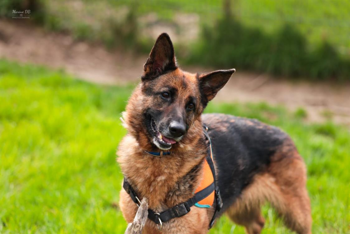 Photo #2 de Poupette