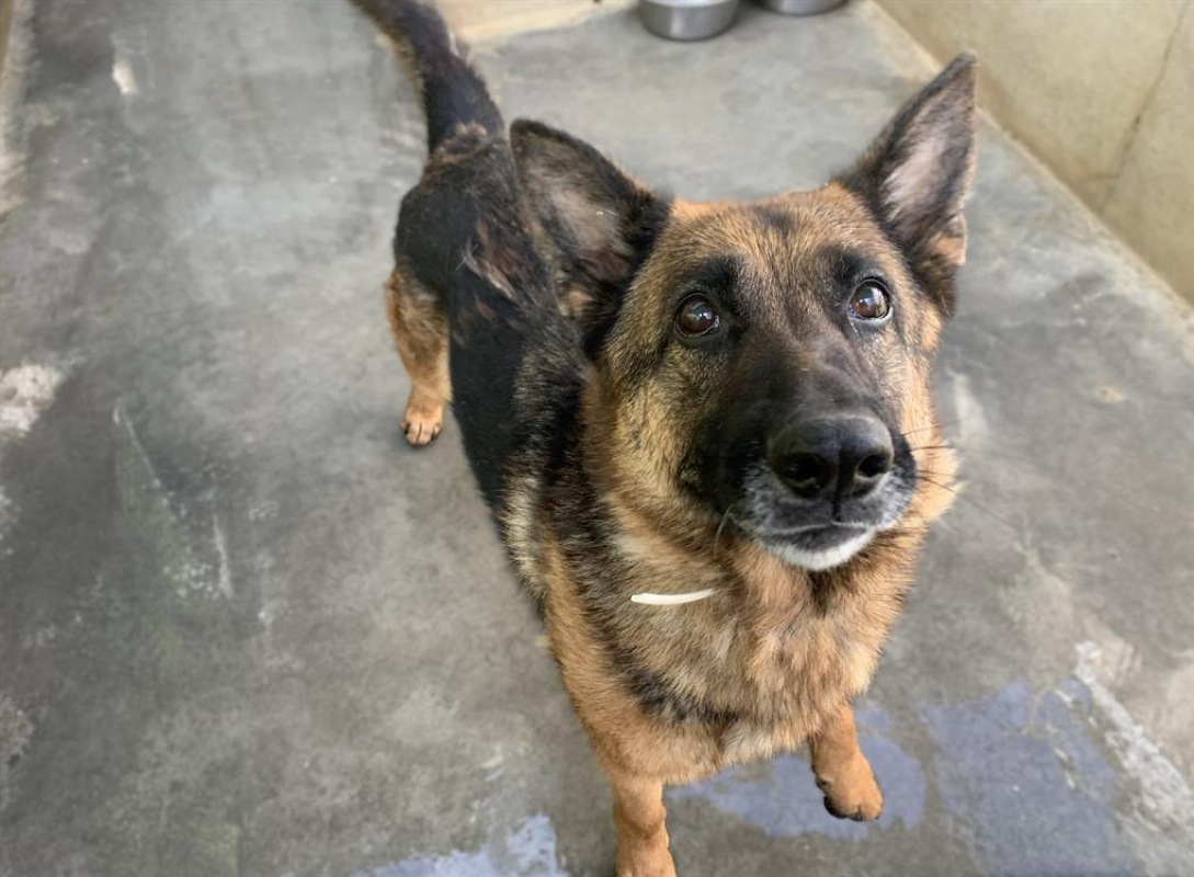 Photo #3 de Poupette