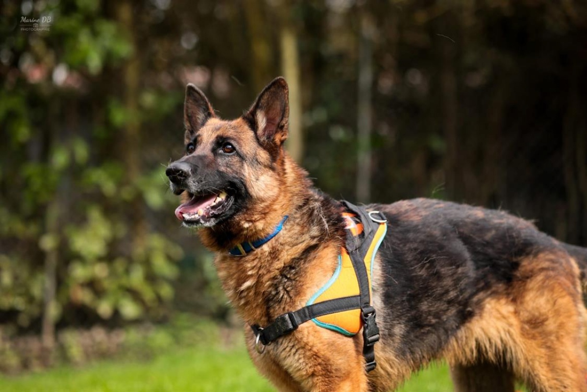 Photo #2 de Poupette