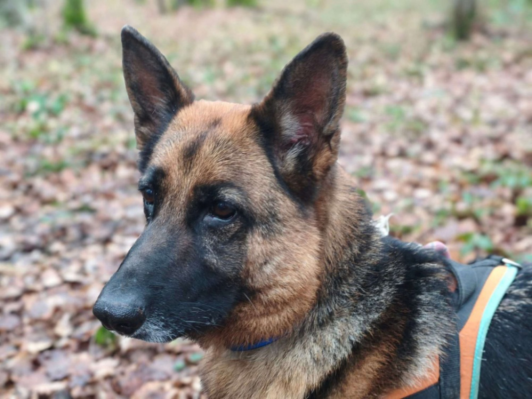 Photo #3 de Poupette