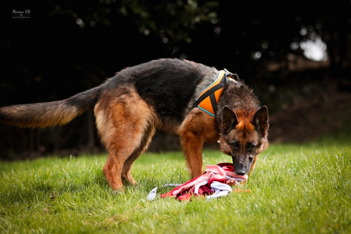 Photo #8 de Poupette