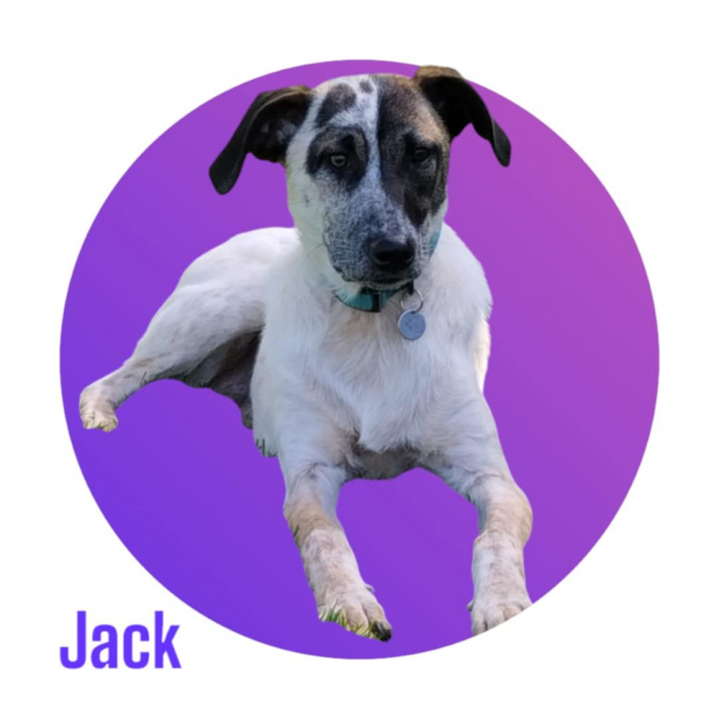 Photo #7 de JACK