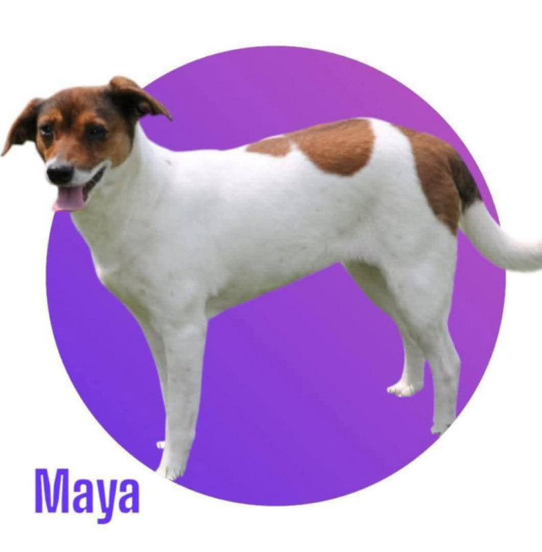 Photo #8 de MAYA