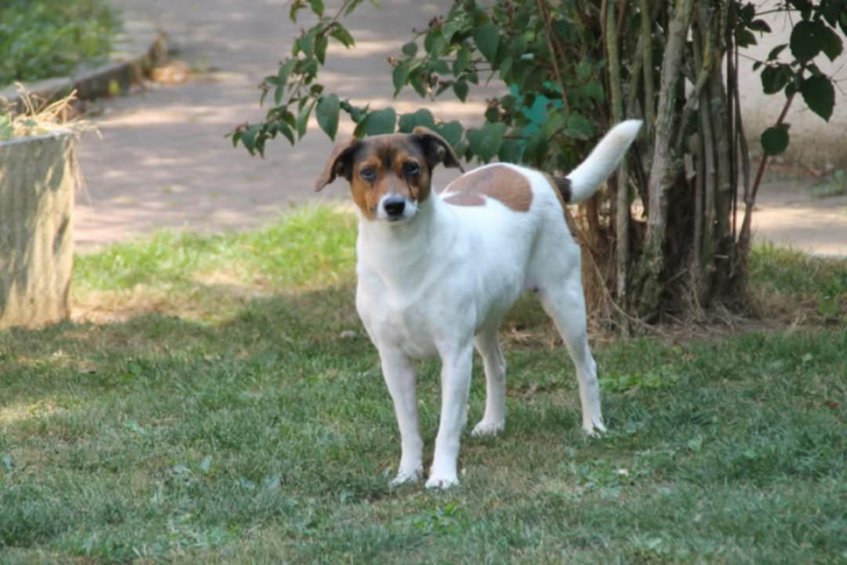 Photo #6 de MAYA