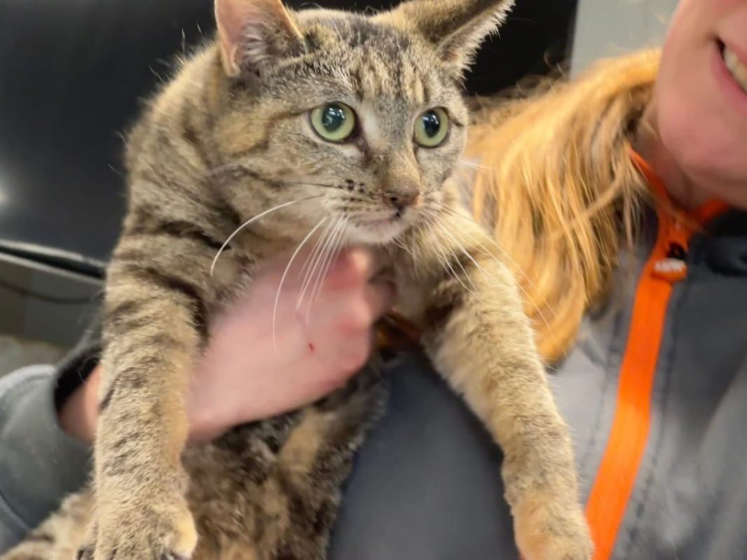 Photo #1 de Victoire