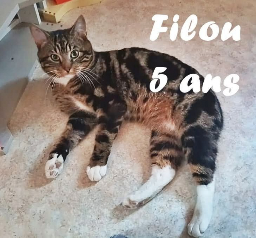 Photo de Filou