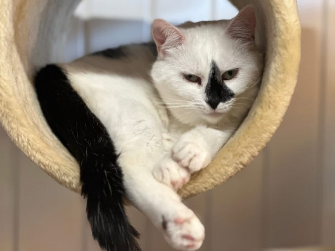 Photo de Ninite en sos