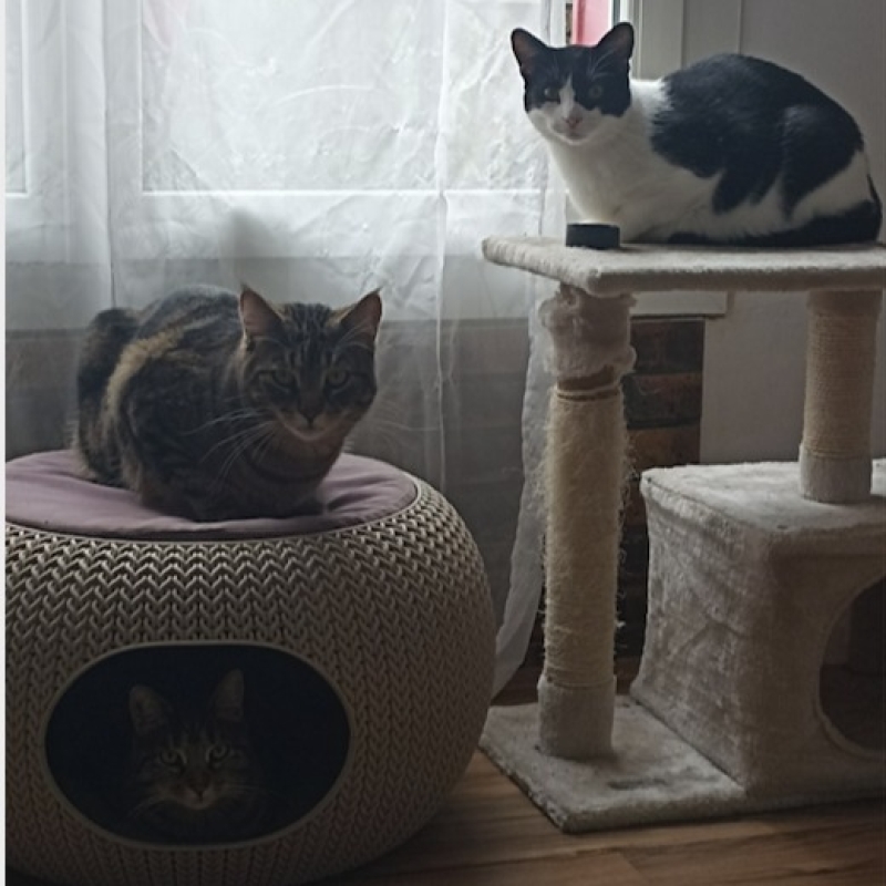 Photo de Gabin et Suki