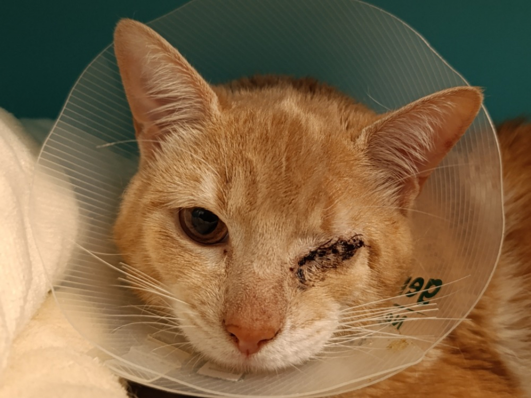 Photo #1 de Myfouend