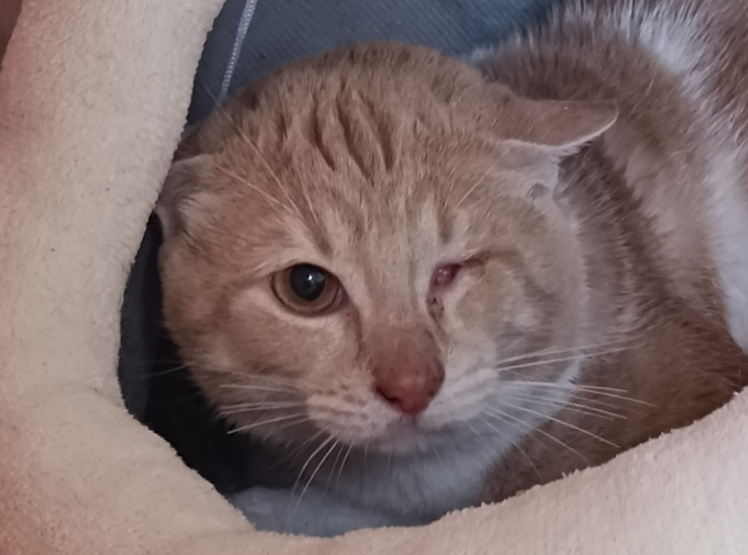 Photo #2 de Myfouend