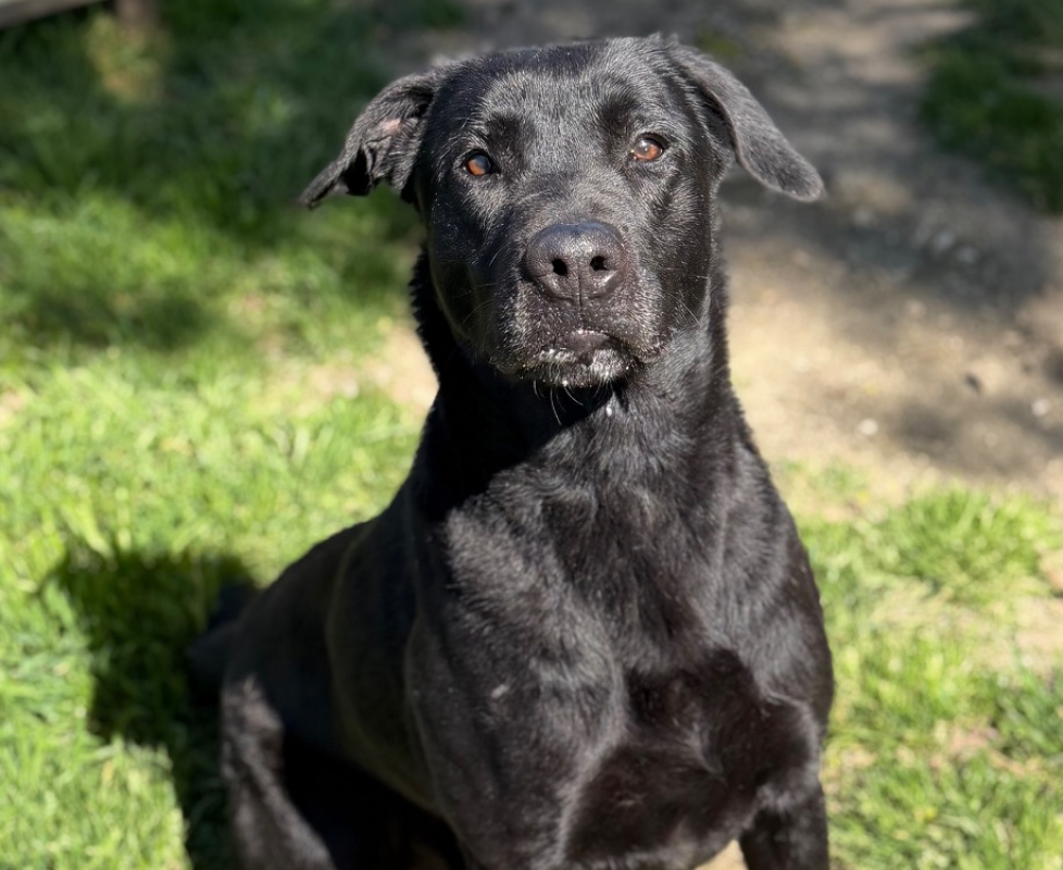 Photo de Daiko