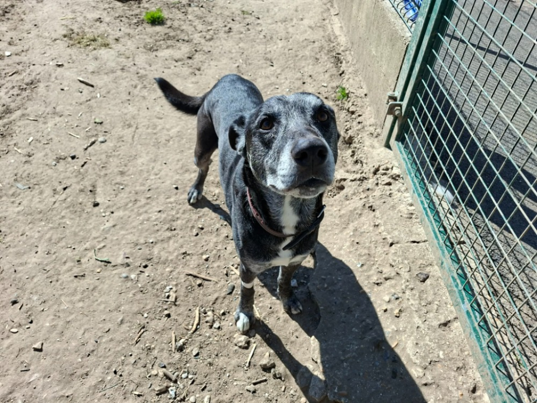 Photo #1 de Belzebuth