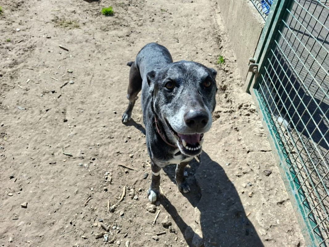 Photo #2 de Belzebuth