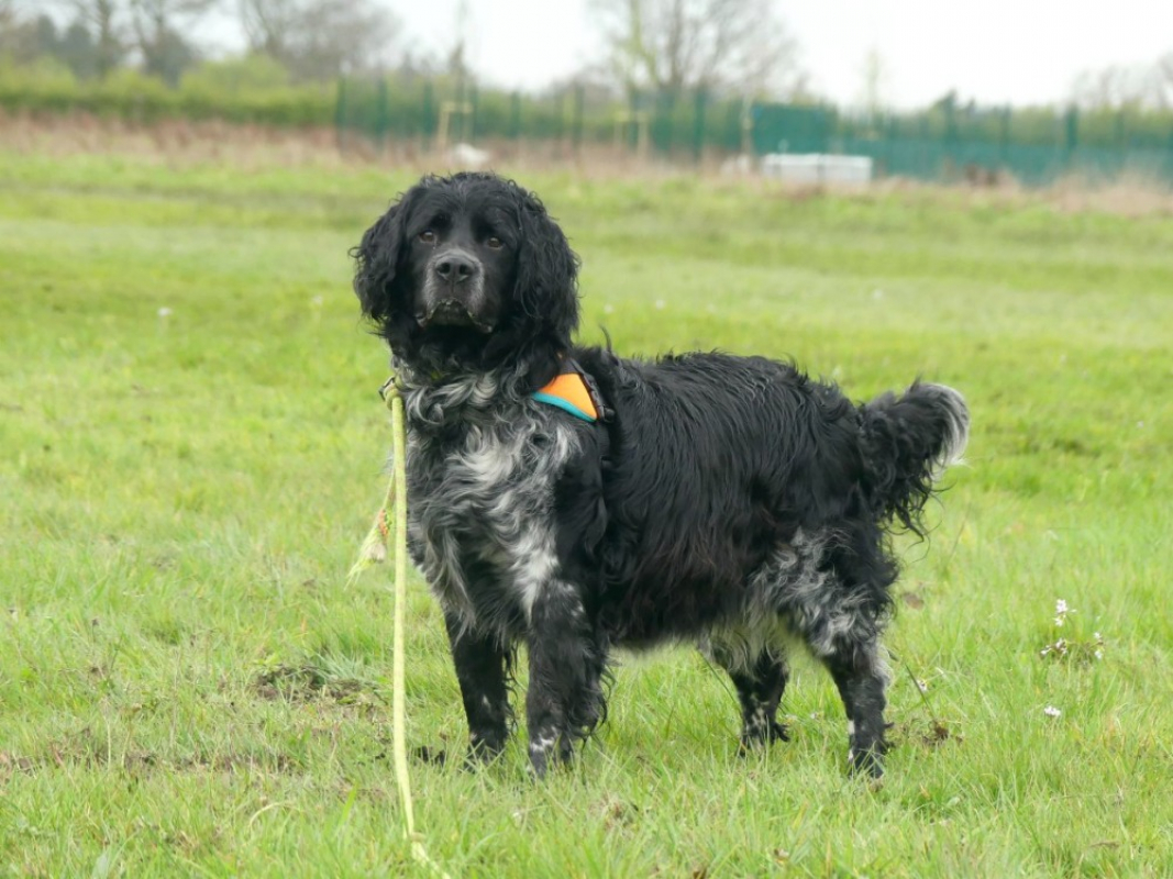 Photo #4 de Berlioz
