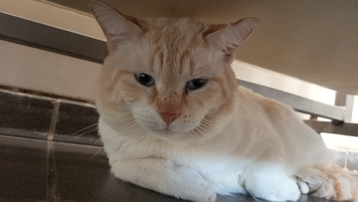 Photo #1 de Nathaniel