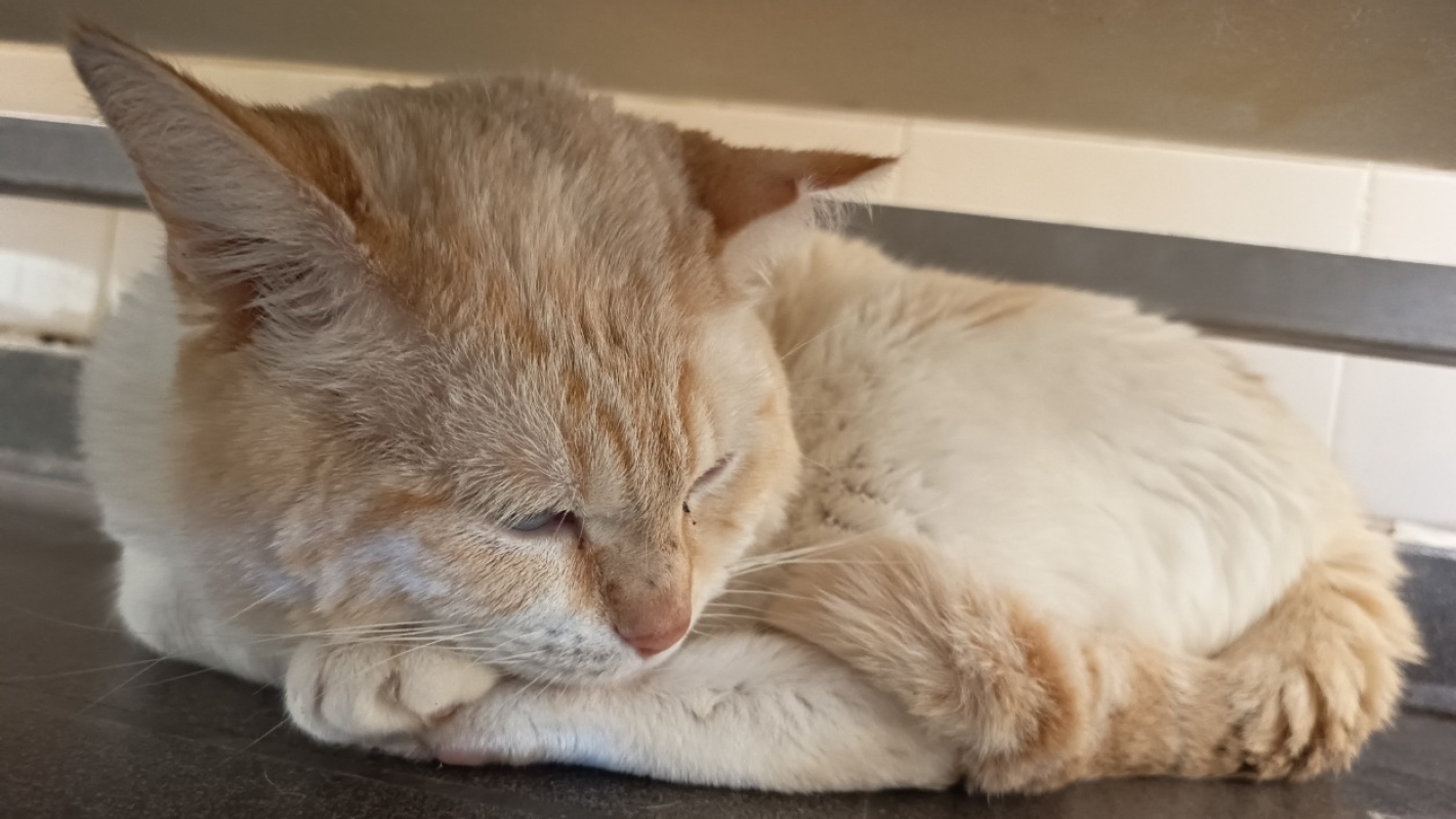 Photo #2 de Nathaniel