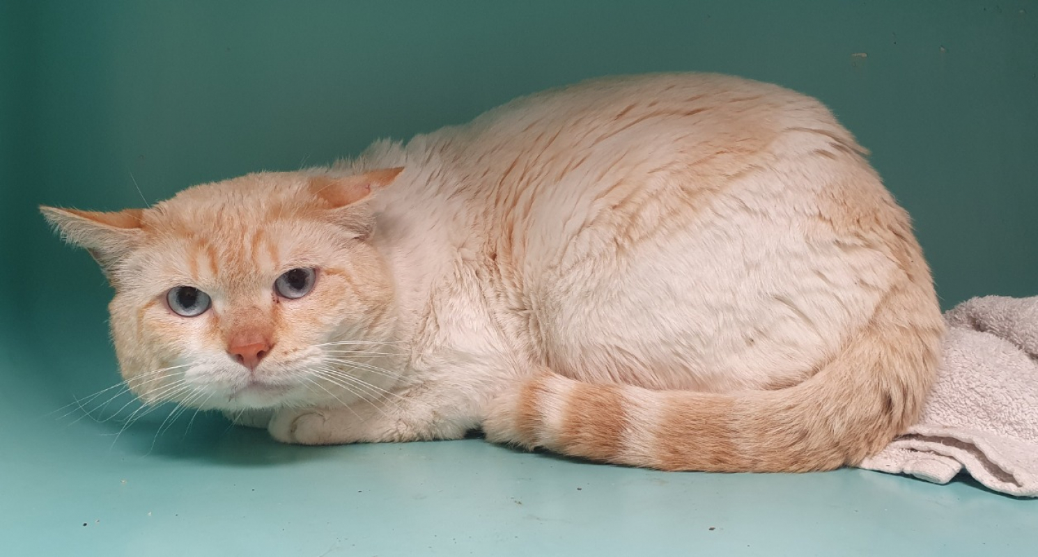 Photo #3 de Nathaniel