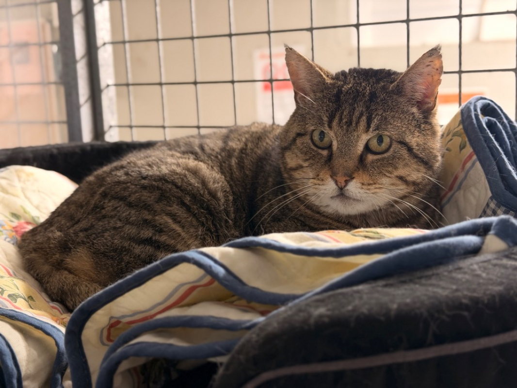 Photo #1 de Mittwoch