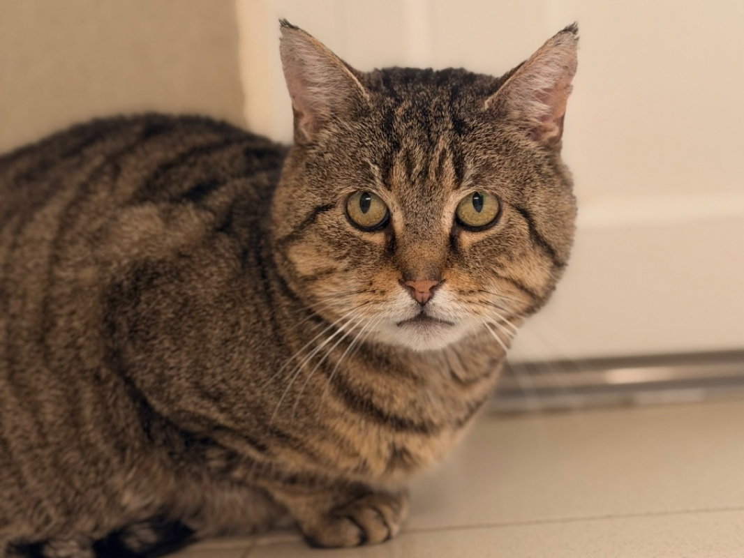 Photo #2 de Mittwoch