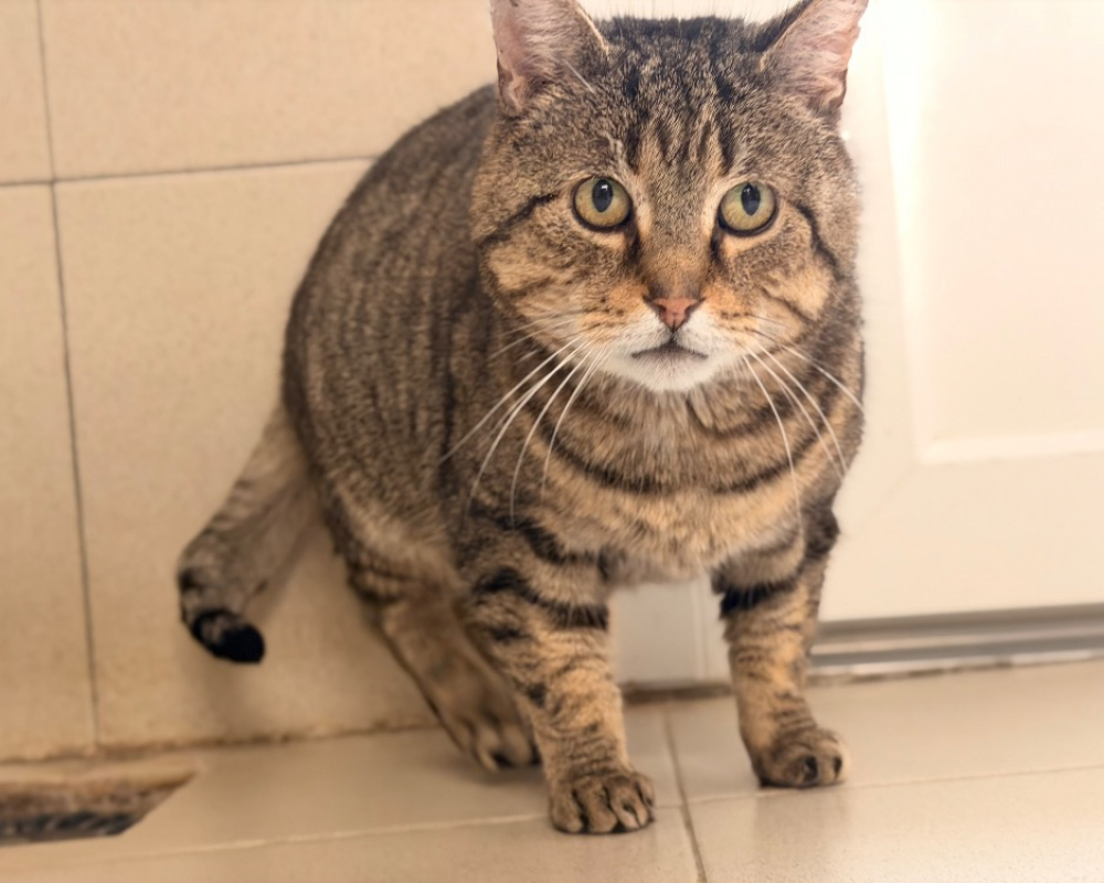 Photo #3 de Mittwoch