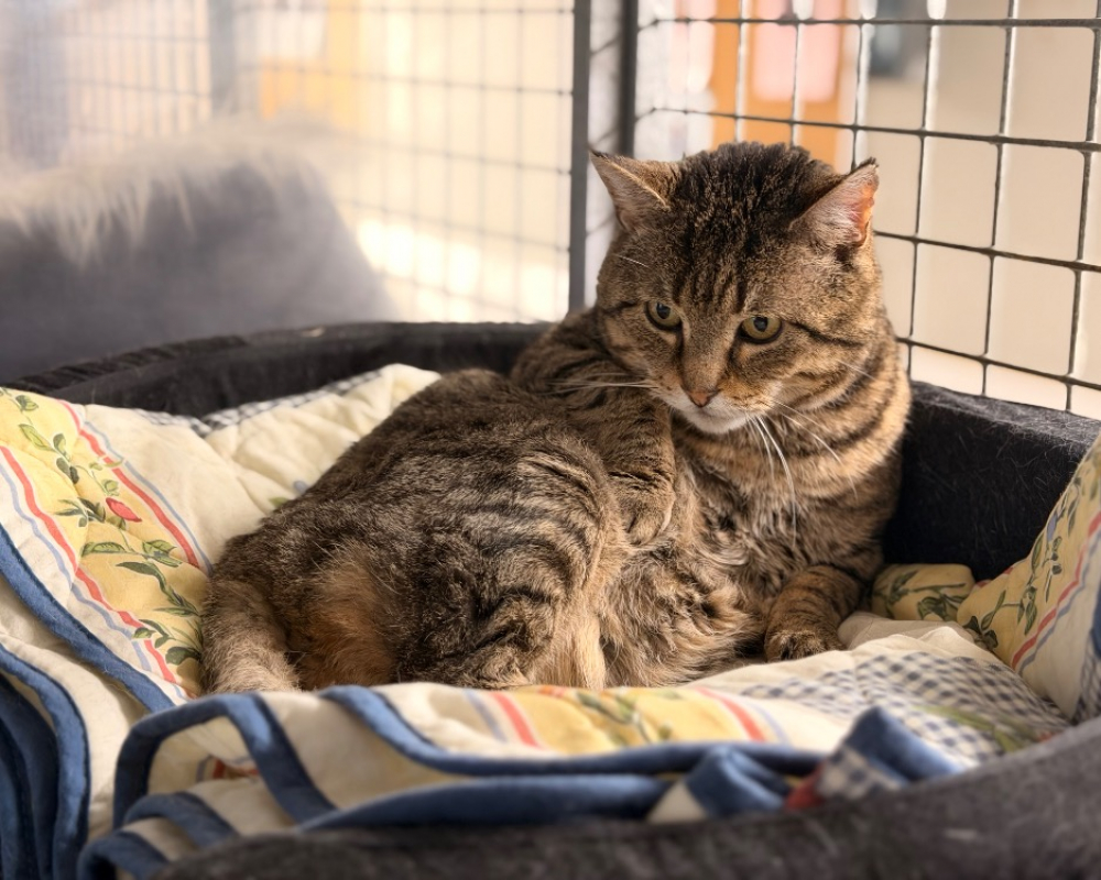 Photo #4 de Mittwoch