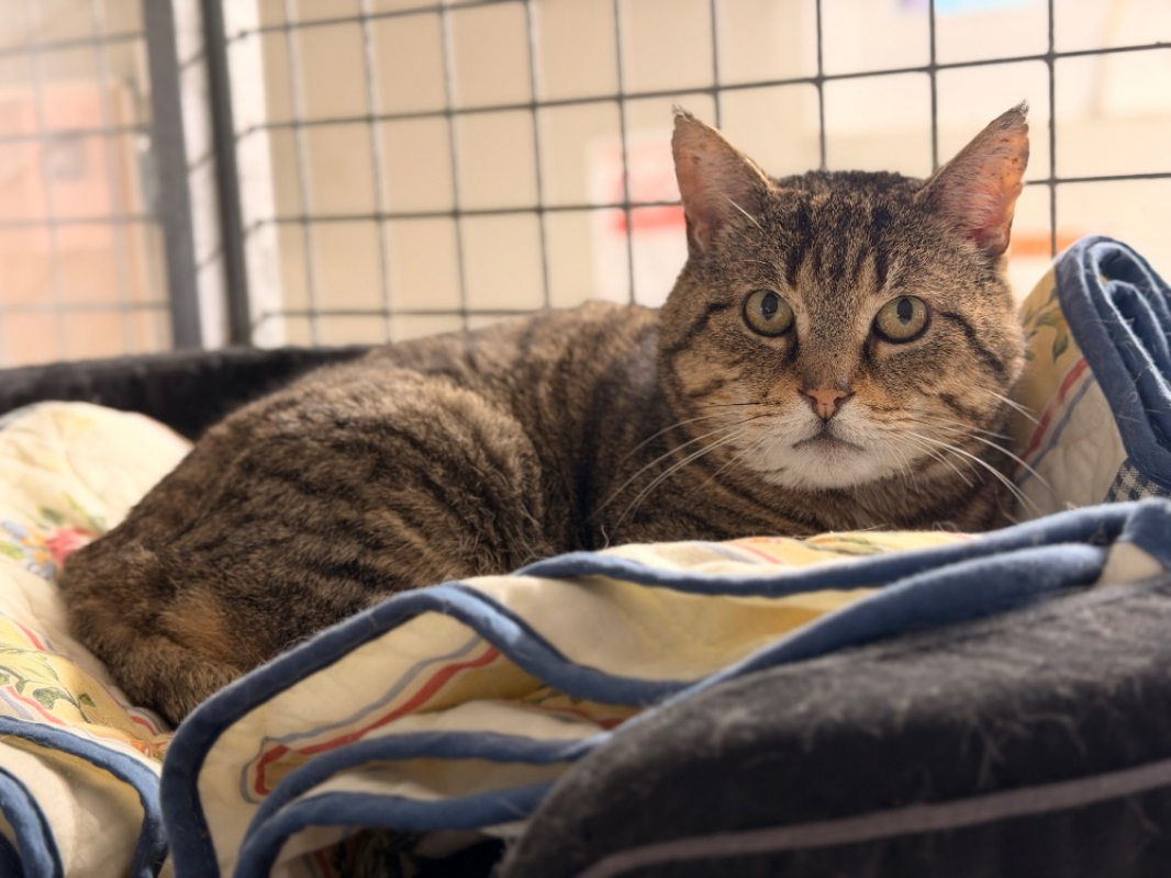 Photo #5 de Mittwoch