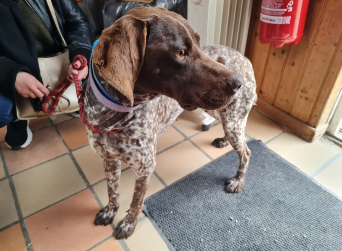 Photo #2 de Chouquette