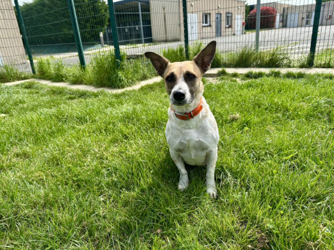 Photo #1 de Coquillage