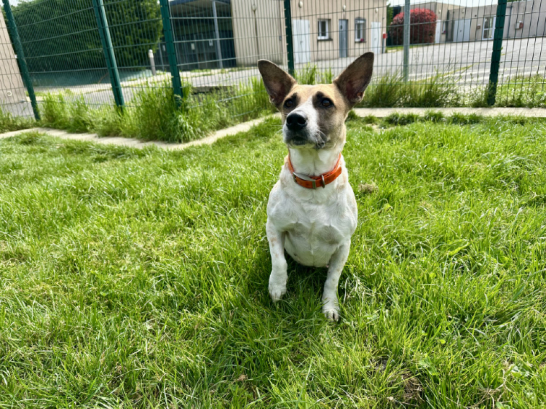 Photo #2 de Coquillage