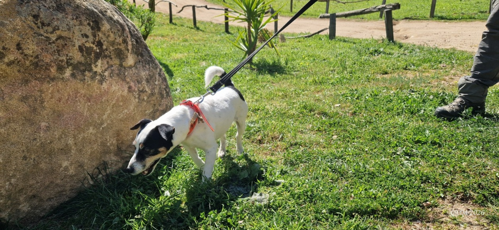 Photo #6 de Missy