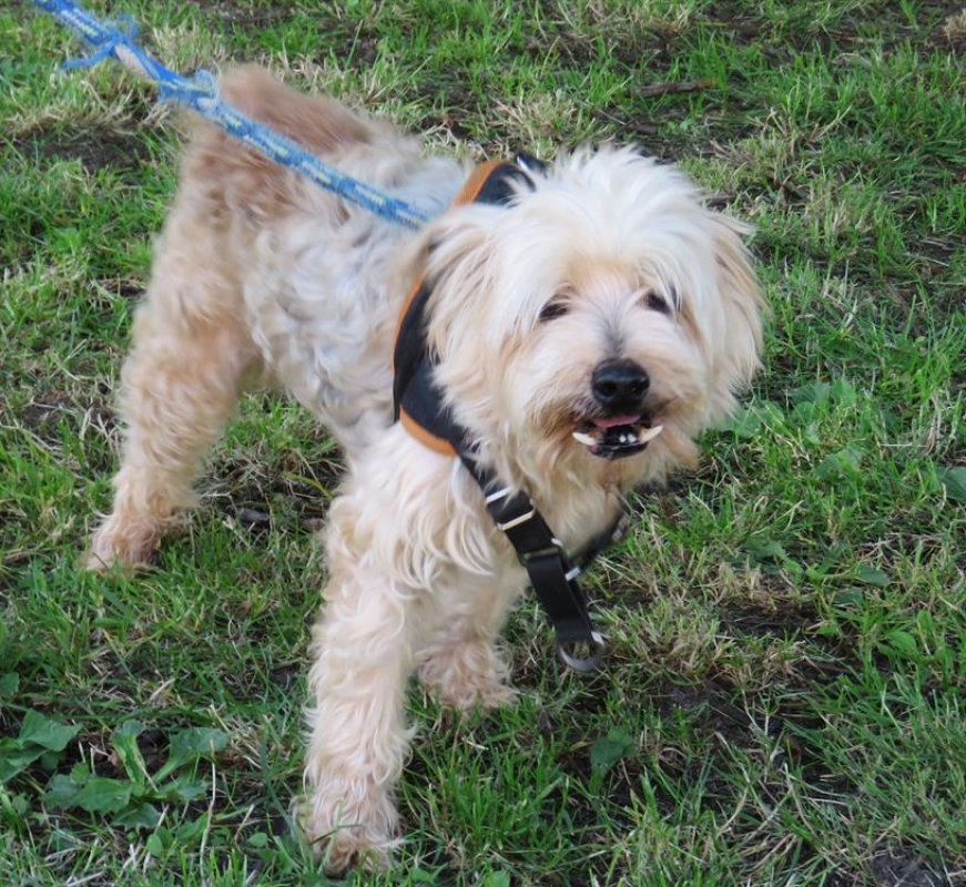 Photo #1 de Echo dit peper